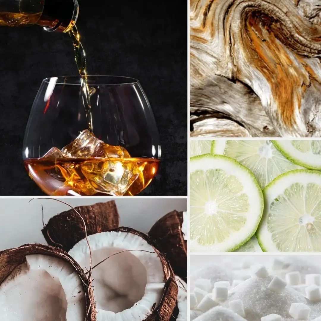 Malibú Party in the Bay