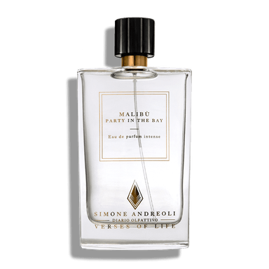 Malibú Party in the Bay