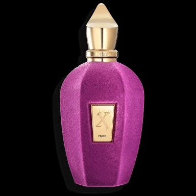 Muse