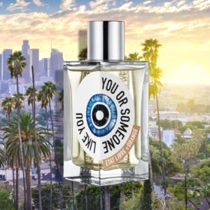 You or Someone Like You