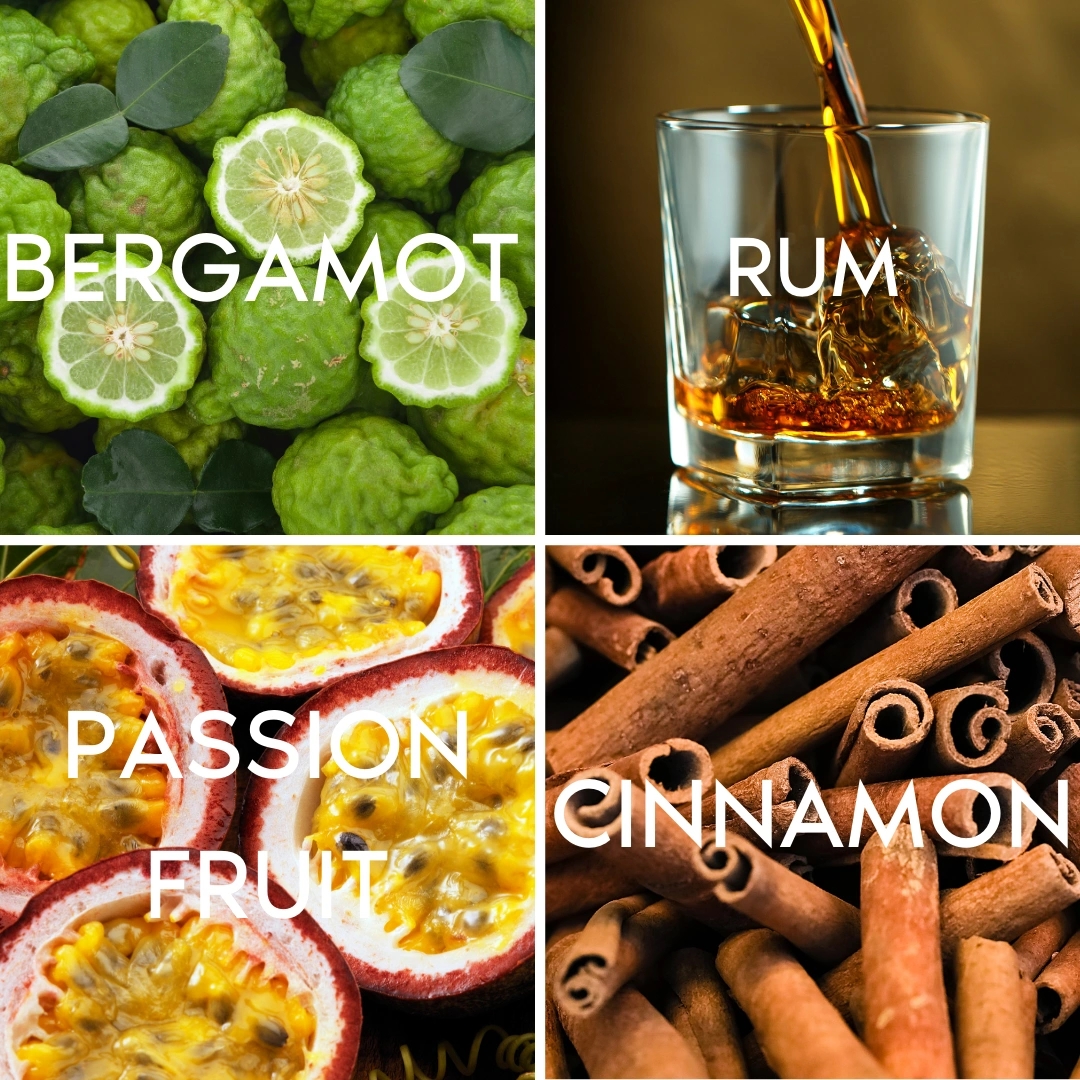 Tony Iommi Monkey Special